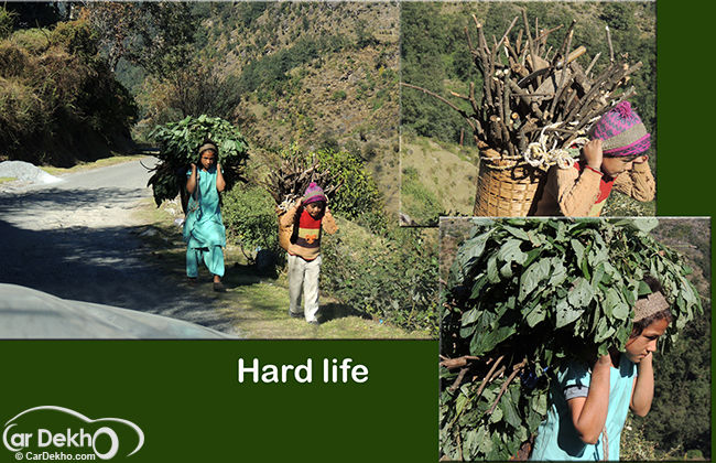Himalayan Endeavour - Driving to Kumaon