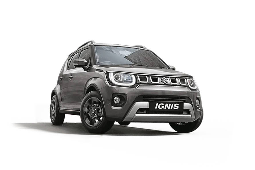 Ignis Glistening Grey Color