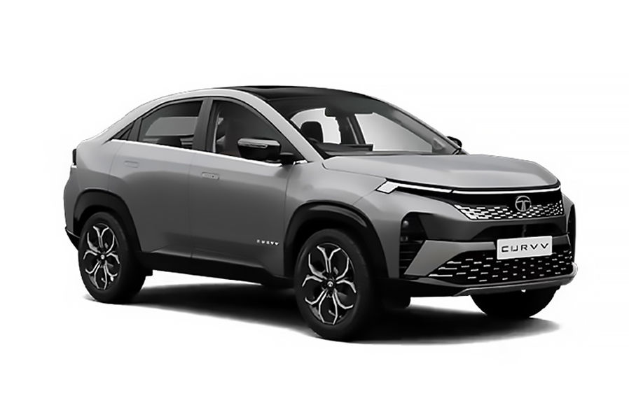 കർവ്വ് പ്യുവർ grey-dual tone color