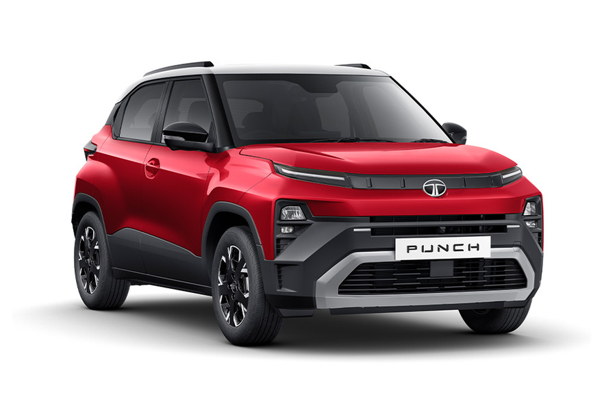 Punch Bengal Rouge Color