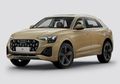 Used Audi Q8 in Delhi-NCR