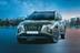 Hyundai Tucson Platinum Diesel AT