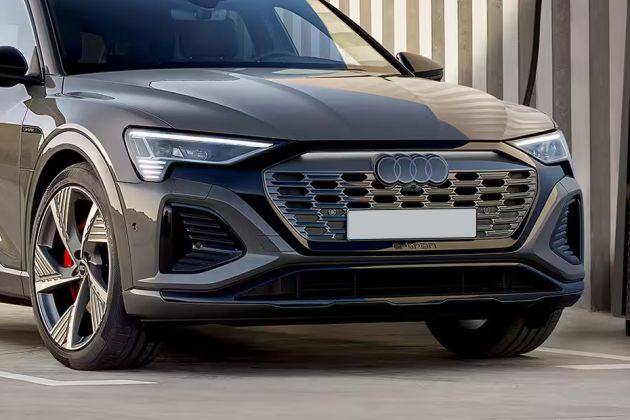 Audi Q8 e-tron Grille Image