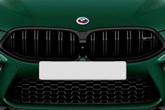 BMW M8 Coupe Competition Grille Image