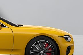Bentley Continental Front fender Image