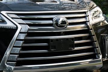 Lexus LX Grille Image