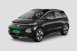 Windsor EV