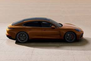 Porsche Panamera Side View (Right)  Image