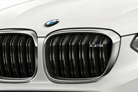 ബിഎംഡബ്യു എക്സ്2 എം grille