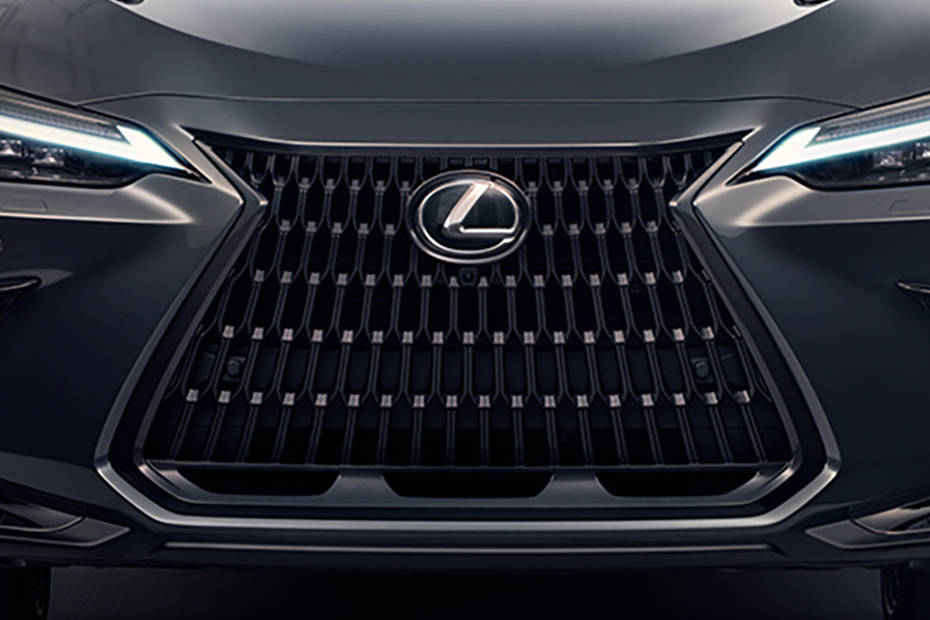 Lexus NX Grille