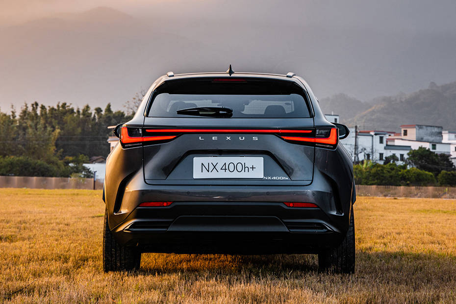 Lexus NX Rear view