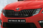 സ്കോഡ ഒക്റ്റാവിയ grille Color