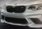 BMW M2 Grille Image
