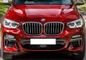 BMW X4 2019-2022 Grille Image