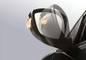 Citroen C3 Side Mirror (Body)