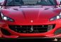 Ferrari Portofino Grille Image