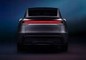 Tesla Model Y Rear View