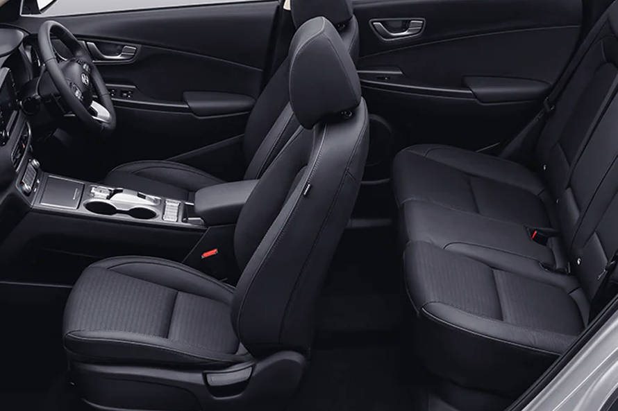Hyundai Kona Electric Door view of Driver seat