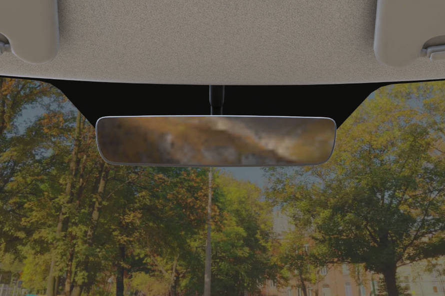 Nissan Magnite Rear View Mirror/Courtesy Lamps