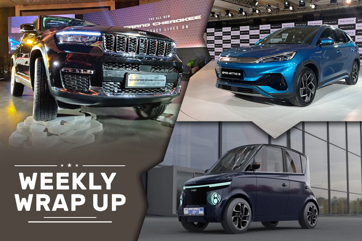 Weekly Wrap Up