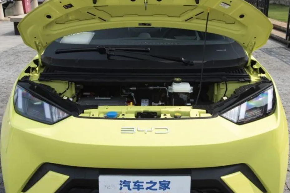 BYD Seagull Electric Hatchback Registers For Name Trademark In India ...