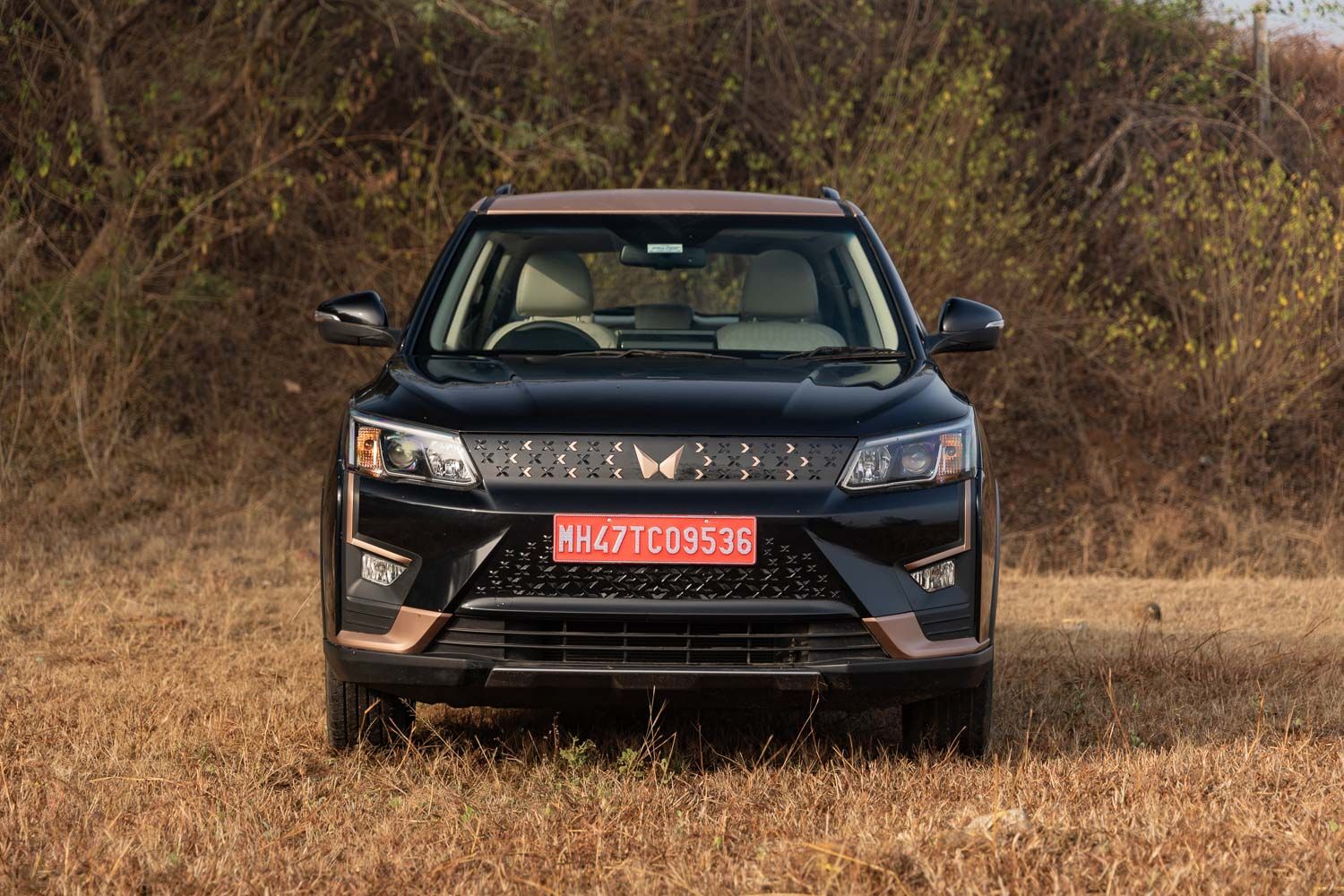 XUV400 front