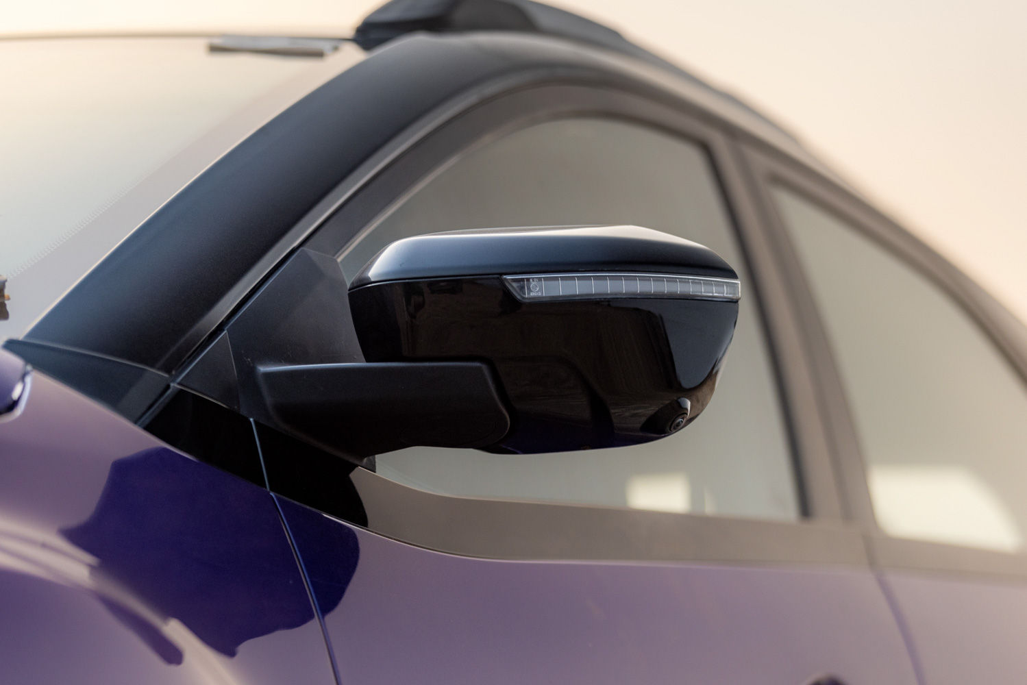 Tata Nexon ORVM Mounted Camera
