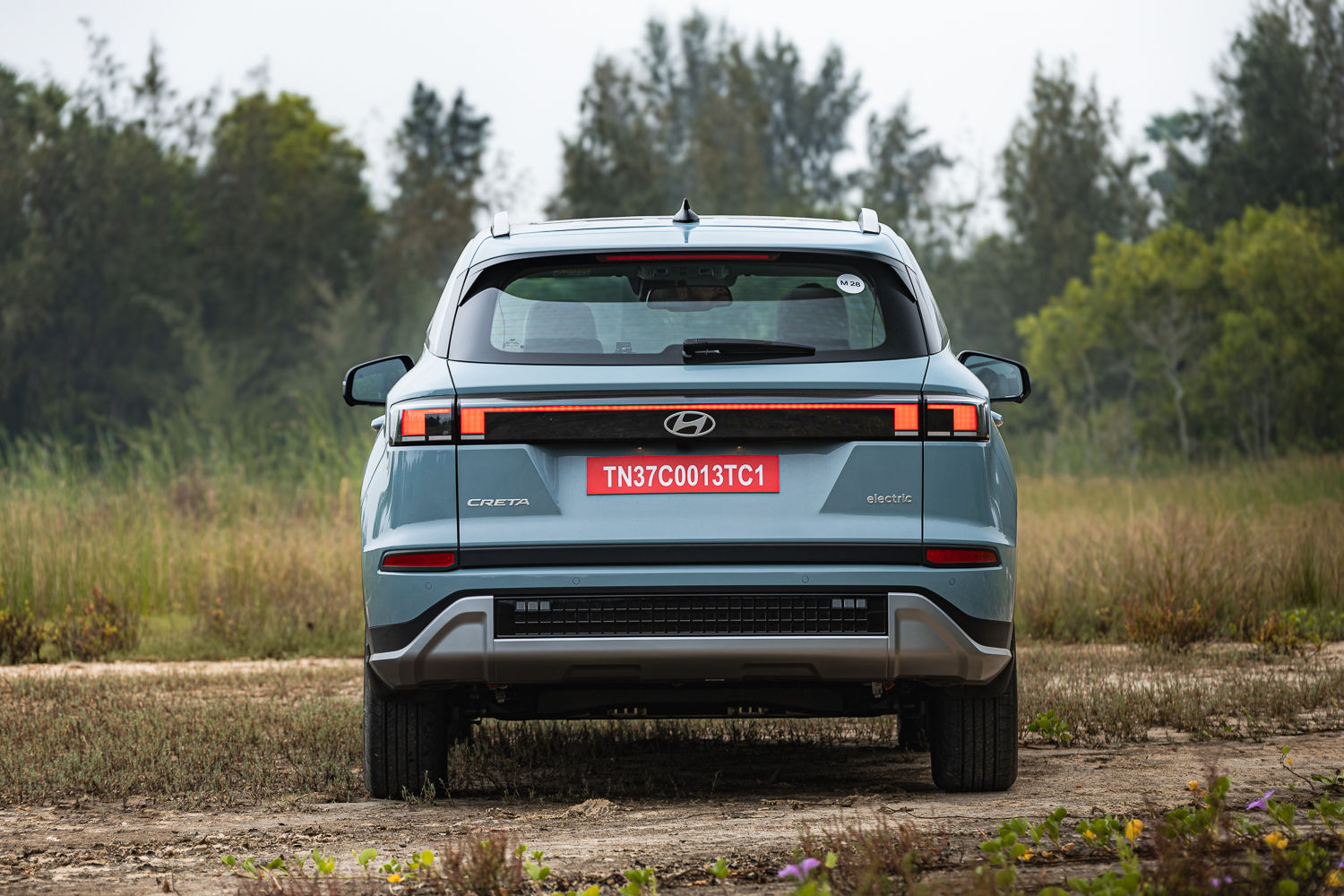 Hyundai Creta Electric Rear