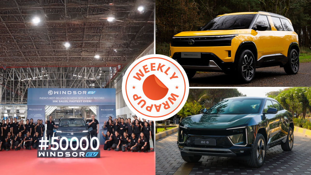 Weekly Wrap Up