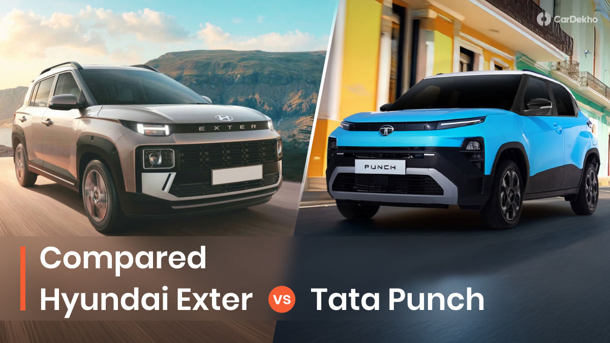 exter vs punch