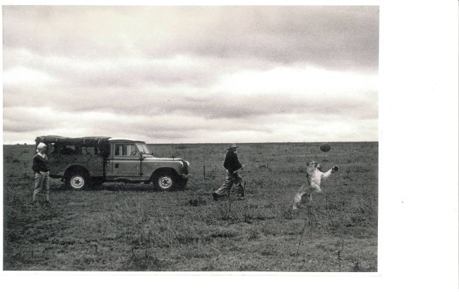 Land Rover confirms continued support for Born Free Foundation